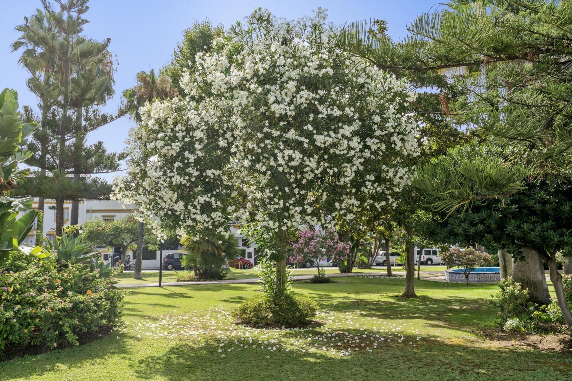 Casa Adriana Villa Marbella Eksteriør billede